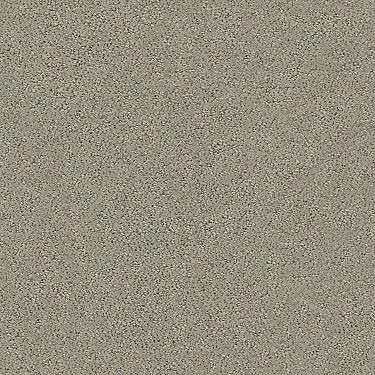 Aerial View Residential Carpet by Shaw Floors in the color Artisan Taupe. Sample of browns carpet pattern and texture.