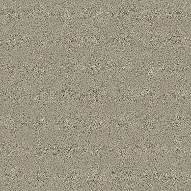 Aerial View Residential Carpet by Shaw Floors in the color Burnished Clay. Sample of browns carpet pattern and texture.