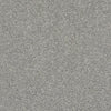 After All I Residential Carpet by Shaw Floors in the color Moon Gaze. Sample of grays carpet pattern and texture.