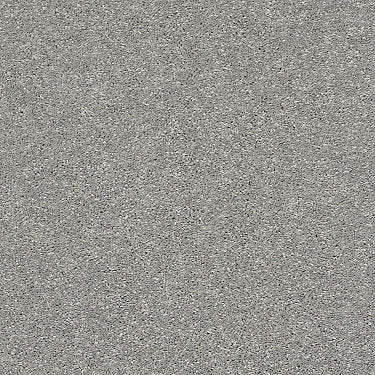 After All I Residential Carpet by Shaw Floors in the color Moon Gaze. Sample of grays carpet pattern and texture.