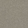 After All I Residential Carpet by Shaw Floors in the color Rustic Taupe. Sample of browns carpet pattern and texture.