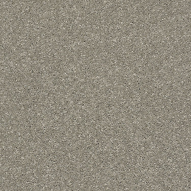 After All I Residential Carpet by Shaw Floors in the color Rustic Taupe. Sample of browns carpet pattern and texture.