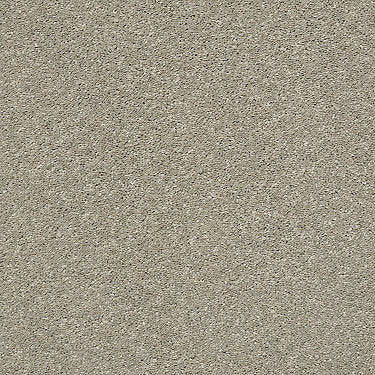 After All I Residential Carpet by Shaw Floors in the color Sandstone. Sample of browns carpet pattern and texture.