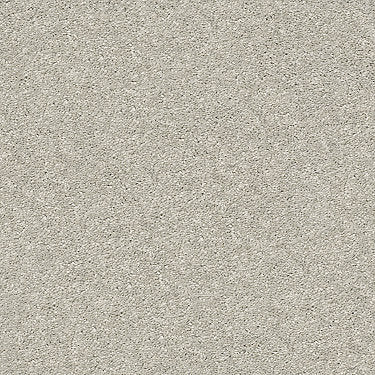 After All Ii Residential Carpet by Shaw Floors in the color Pebble Creek. Sample of browns carpet pattern and texture.