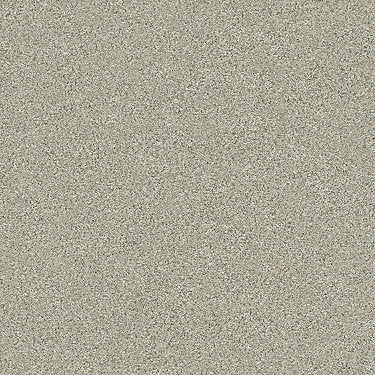 Montage I Residential Carpet by Shaw Floors in the color Spun Wool. Sample of  carpet pattern and texture.