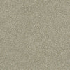 Montage I Residential Carpet by Shaw Floors in the color Lunar Surface. Sample of  carpet pattern and texture.