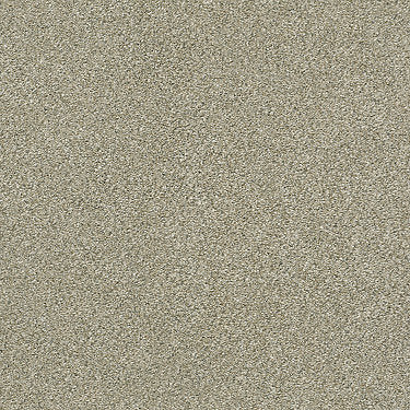 Montage I Residential Carpet by Shaw Floors in the color Lunar Surface. Sample of  carpet pattern and texture.