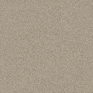 Montage I Residential Carpet by Shaw Floors in the color Midtown Brown. Sample of  carpet pattern and texture.