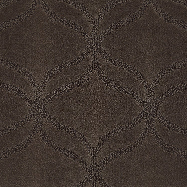 Appreciation Residential Carpet by Shaw Floors in the color Bison. Sample of browns carpet pattern and texture.