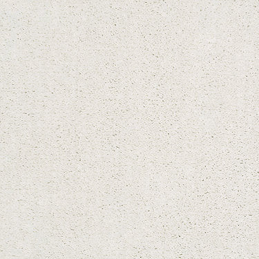 Ombre Whisper Residential Carpet by Shaw Floors in the color Calm. Sample of beiges carpet pattern and texture.