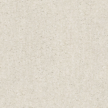 Ombre Whisper Residential Carpet by Shaw Floors in the color Awaken. Sample of beiges carpet pattern and texture.