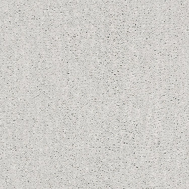 Ombre Whisper Residential Carpet by Shaw Floors in the color Glacier Ice. Sample of grays carpet pattern and texture.