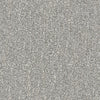 Ombre Whisper Residential Carpet by Shaw Floors in the color Shadow. Sample of grays carpet pattern and texture.