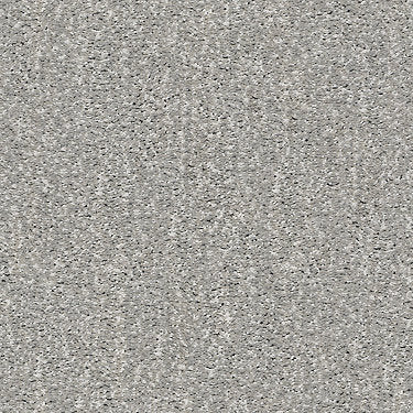 Ombre Whisper Residential Carpet by Shaw Floors in the color Shadow. Sample of grays carpet pattern and texture.