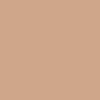CW-210 Galt Peach a Benjamin Moore paint color from the Williamsburg Color Collection.