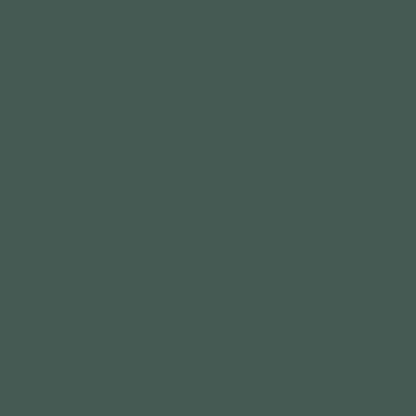 90sDickies × Benjamin Moore シャーウィンウィリアムズ Benjamin Moore's CW-555 Goodwin Green | John Boyle