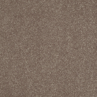 Secret Escape Ii 15' Residential Carpet by Shaw Floors in the color Crossroads. Sample of browns carpet pattern and texture.