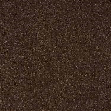 Secret Escape Ii 15' Residential Carpet by Shaw Floors in the color Raisin. Sample of browns carpet pattern and texture.