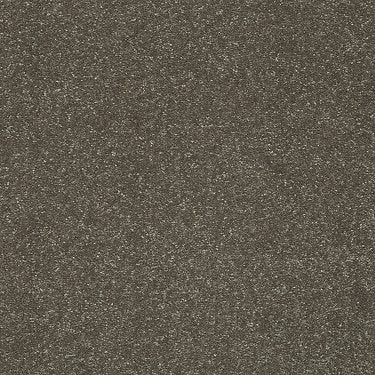 Secret Escape Ii 15' Residential Carpet by Shaw Floors in the color Tree Bark. Sample of browns carpet pattern and texture.