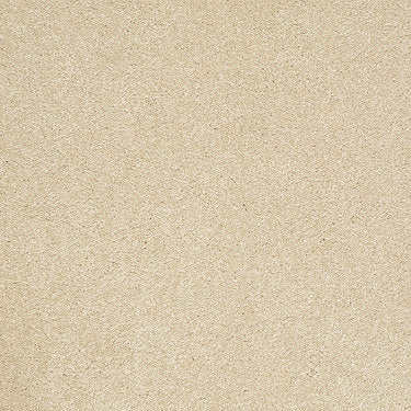 From The Heart Ii Residential Carpet by Shaw Floors in the color Canopy. Sample of beiges carpet pattern and texture.
