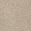 From The Heart Ii Residential Carpet by Shaw Floors in the color Sea Gull. Sample of beiges carpet pattern and texture.
