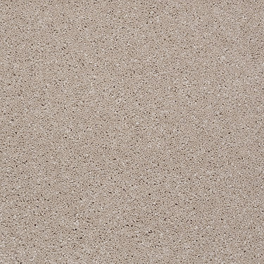 From The Heart Ii Residential Carpet by Shaw Floors in the color Ecru. Sample of beiges carpet pattern and texture.