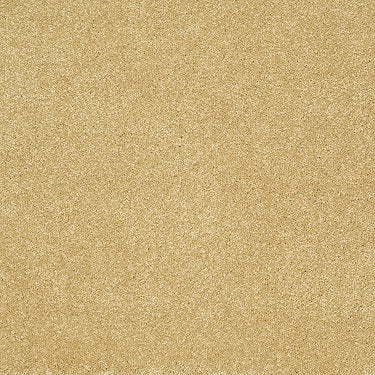 From The Heart Ii Residential Carpet by Shaw Floors in the color Daybreak. Sample of golds carpet pattern and texture.