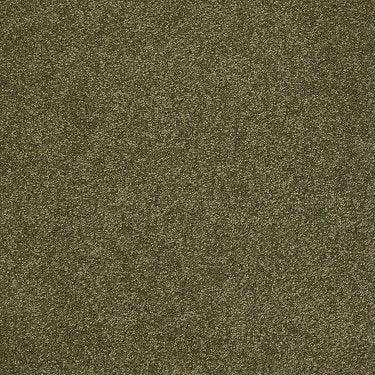 From The Heart Ii Residential Carpet by Shaw Floors in the color Crocodile. Sample of greens carpet pattern and texture.
