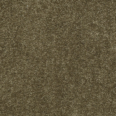 From The Heart Ii Residential Carpet by Shaw Floors in the color Moss. Sample of greens carpet pattern and texture.