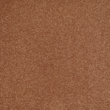 From The Heart Ii Residential Carpet by Shaw Floors in the color New Penny. Sample of oranges carpet pattern and texture.