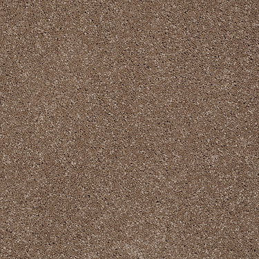 From The Heart Ii Residential Carpet by Shaw Floors in the color Goal Post. Sample of browns carpet pattern and texture.