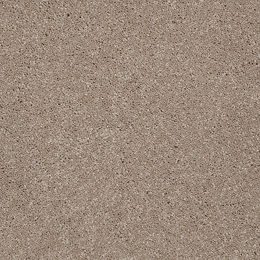 From The Heart Ii Residential Carpet by Shaw Floors in the color Travertine. Sample of browns carpet pattern and texture.