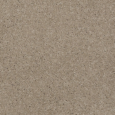 From The Heart Ii Residential Carpet by Shaw Floors in the color Feather. Sample of browns carpet pattern and texture.