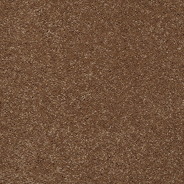 From The Heart Ii Residential Carpet by Shaw Floors in the color Maple Syrup. Sample of browns carpet pattern and texture.