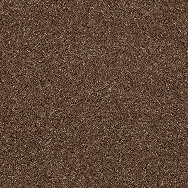 From The Heart Ii Residential Carpet by Shaw Floors in the color Suede. Sample of browns carpet pattern and texture.