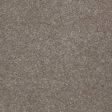 From The Heart Ii Residential Carpet by Shaw Floors in the color Fleece. Sample of browns carpet pattern and texture.