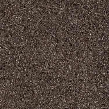 From The Heart Ii Residential Carpet by Shaw Floors in the color Driftwood. Sample of browns carpet pattern and texture.