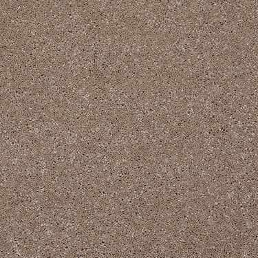From The Heart Ii Residential Carpet by Shaw Floors in the color Dream Catcher. Sample of browns carpet pattern and texture.