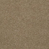 From The Heart Ii Residential Carpet by Shaw Floors in the color Grain. Sample of browns carpet pattern and texture.