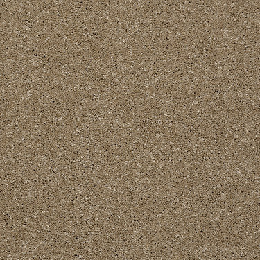 From The Heart Ii Residential Carpet by Shaw Floors in the color Grain. Sample of browns carpet pattern and texture.