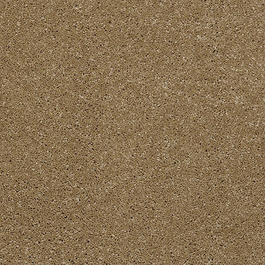 From The Heart Ii Residential Carpet by Shaw Floors in the color Straw Hat. Sample of browns carpet pattern and texture.