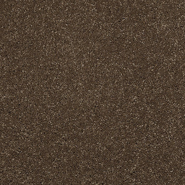 From The Heart Ii Residential Carpet by Shaw Floors in the color Brown Rice. Sample of browns carpet pattern and texture.