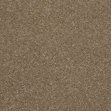 From The Heart Ii Residential Carpet by Shaw Floors in the color Cobblestone. Sample of browns carpet pattern and texture.