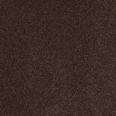 From The Heart Ii Residential Carpet by Shaw Floors in the color Fresh Brewed. Sample of browns carpet pattern and texture.