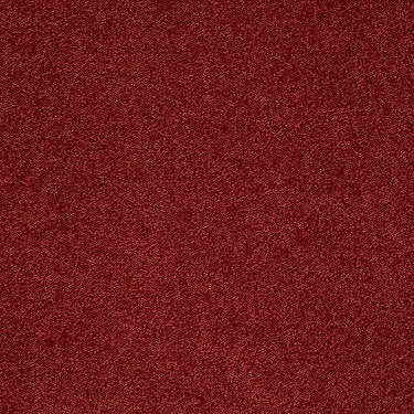 From The Heart Ii Residential Carpet by Shaw Floors in the color Passion Flower. Sample of reds carpet pattern and texture.