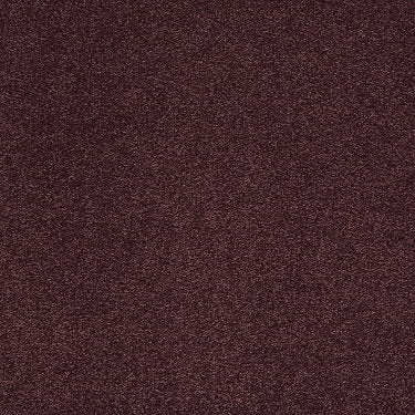 From The Heart Ii Residential Carpet by Shaw Floors in the color Eggplant. Sample of violets carpet pattern and texture.