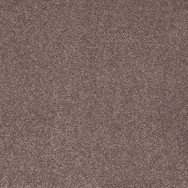 From The Heart Ii Residential Carpet by Shaw Floors in the color Violet. Sample of violets carpet pattern and texture.