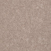 All Star Weekend Ii 15' Residential Carpet by Shaw Floors in the color Flax Seed. Sample of beiges carpet pattern and texture.