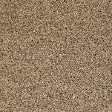 All Star Weekend Ii 15' Residential Carpet by Shaw Floors in the color Golden Echoes. Sample of golds carpet pattern and texture.