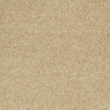 All Star Weekend Ii 15' Residential Carpet by Shaw Floors in the color Crumpet. Sample of golds carpet pattern and texture.